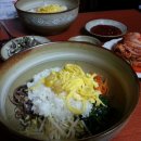 스테이나무 이미지