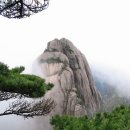 호사호신(好士好臣) 이미지