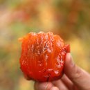 달빛민박 이미지