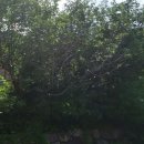 산골한우농장 이미지