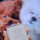 닥터리동물병원 이미지