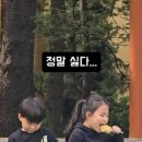 ㅈㄴ 터프한 누나 이미지