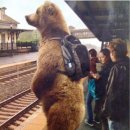 (주)닛신 | 교환학생🇯🇵] D+50~56 일본 “쿠라스시” 알바 첫 주 근무 후기=죽겠다!🪦💀/헤이세이점프 콘서트 당선...