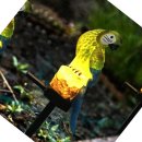 아름다운쇼핑나라 이미지