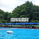 자일농장 | 의정부 물놀이와 취사가능식당 자일농장가든 추천 (수영장 넓음)