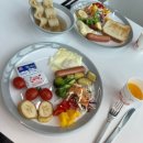 별빛애견펜션 이미지