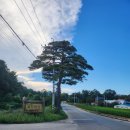 성대1리 이미지