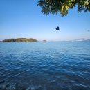 여수 댕댕이 애견 가족펜션 골드 이미지