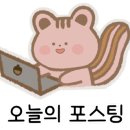 라라브레드고양