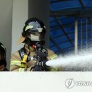 대구대진초등학교 이미지