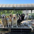 개두방정 이미지