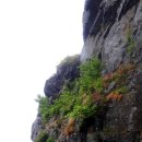 악양면사무소 이미지