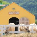 병식농장 이미지