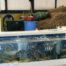 남항횟집 | 부산/기장] 기장연화리맛집 내인생맛집 멸치쌈밥 ! 8년연속 블루리본맛집 남항횟집 기장대변항 맛 솔직후기