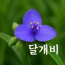 생육달 이미지