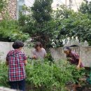 여남경로당 이미지