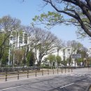 금계초교병설 이미지