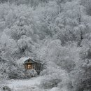 행복한집 이미지