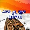 호랑이보부상 이미지