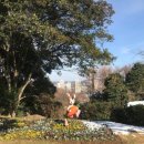 육낙존 | 전남 목포 1박 2일 기차타고 즉흥여행 가기