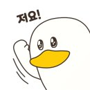살롱드보영