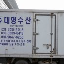 대명선어