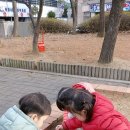 나무앤숲