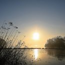 남사2리 이미지