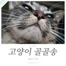 그르릉 이미지