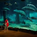 리버퀘스트 이미지