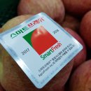 청과물처리장 이미지