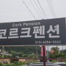 상면초등학교 | 가평 코르크 펜션(내 돈으로 다녀온) 후기