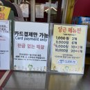 볼거리 가득한 서울 근교 핑크뮬리 명소 안성팜랜드 후기