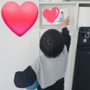 한솔 태권도장 이미지