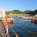 동영낚시터 이미지