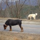 재환농장 이미지