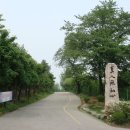 진광고 - 금산군 비호로 28 | 진광고