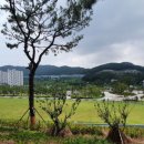 율하2지구_모산공원산책로 이미지