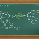 한국사 마인드맵 이미지