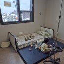 도담지소아청소년과의원 이미지