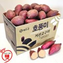 거산농장 | 해뜨온 25년햇고구마 후기와 경험으로 건강한 선택 검증된 고구마