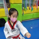 성산 코리아 태권도 이미지