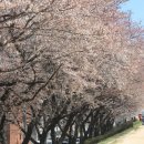 금호강4 이미지