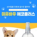 청소특공대 이미지