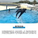 인형뽑기방안양놀이터 | 후쿠오카 아이랑 가볼만한 곳 | 마린월드 돌고래쇼,가는법 추천,예약방법,내돈내산 후기