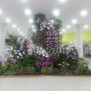 서천생태공원 이미지