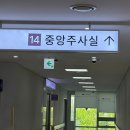임산부 백일해 접종 후기 - 수원 산부인과 접종 비용·반응 솔직 정리