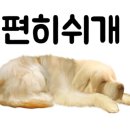 펫샵몽 네이버블로그