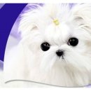 25시종합동물병원 이미지