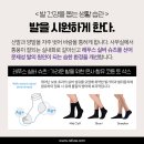 레푸스두류점